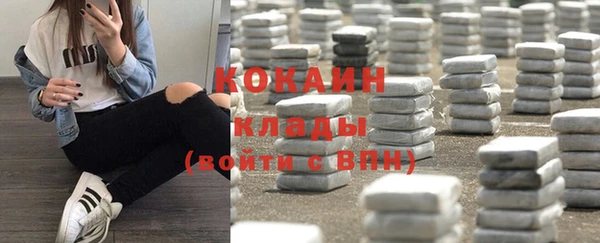 дурь Дмитриев