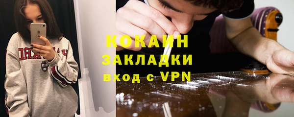 твердый Дмитров