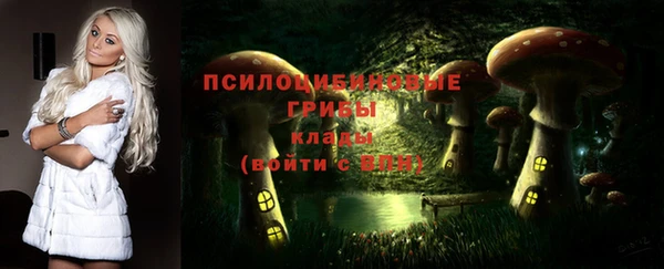 дурь Дмитриев