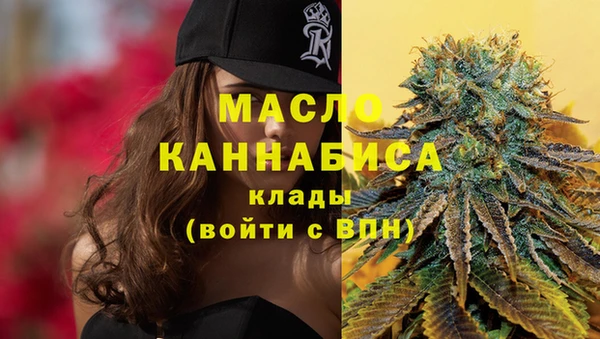 твердый Дмитров