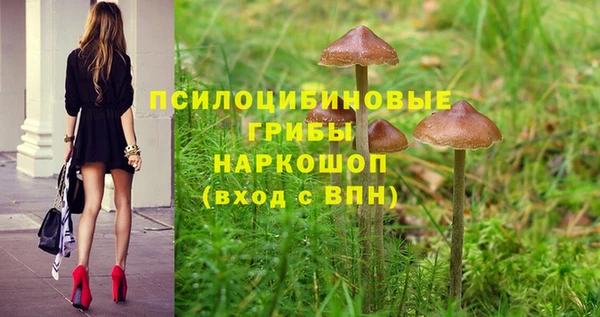 дурь Дмитриев