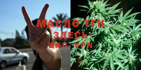 дурь Дмитриев