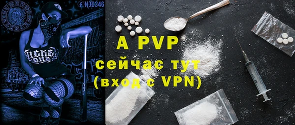 дурь Дмитриев