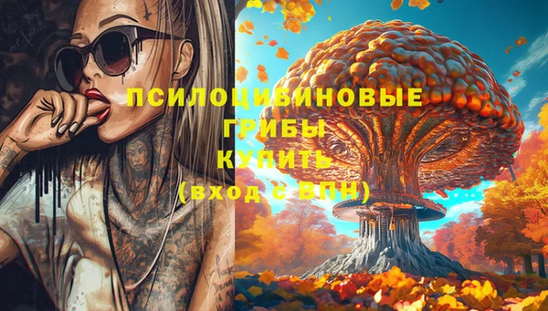 a pvp Дмитровск
