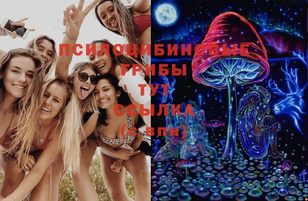 a pvp Дмитровск