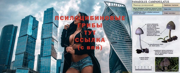 твердый Дмитров