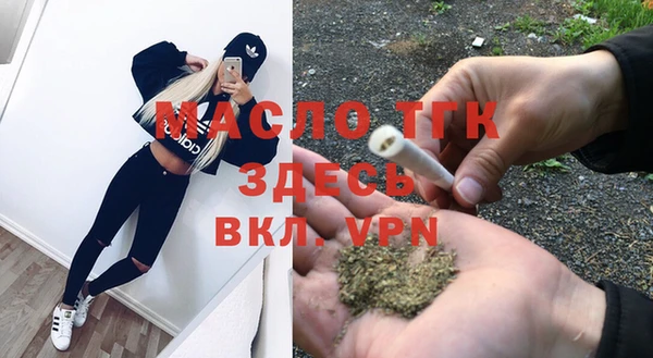 твердый Дмитров