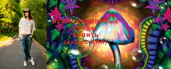 a pvp Дмитровск