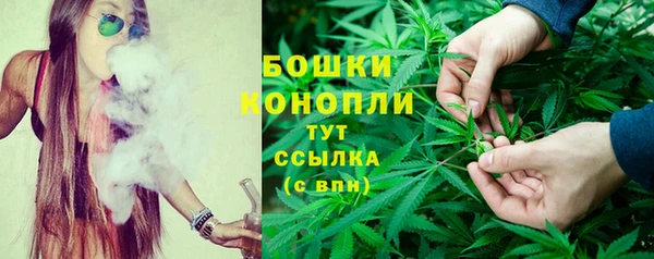 дурь Дмитриев