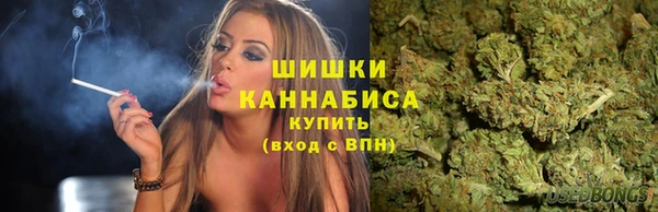 a pvp Дмитровск