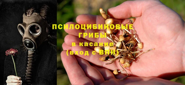 твердый Дмитров